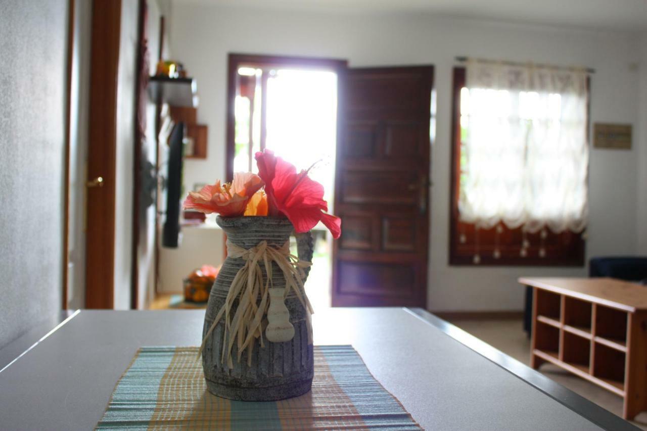 Apartamentos Con Jardin Y Pescina Puerto de la Cruz  Luaran gambar